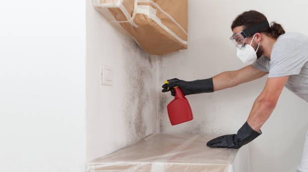 Professional Bathroom Mold Removal technician working in Clarklake, MI