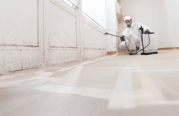 24/7 Emergency Bathroom Mold Removal experts in Clarklake, MI