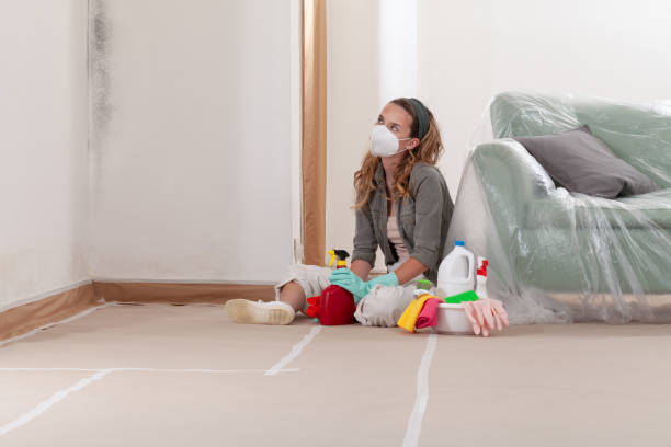 Reliable Bathroom Mold Removal contractor in Clarklake, MI by Mold Remediation HQ